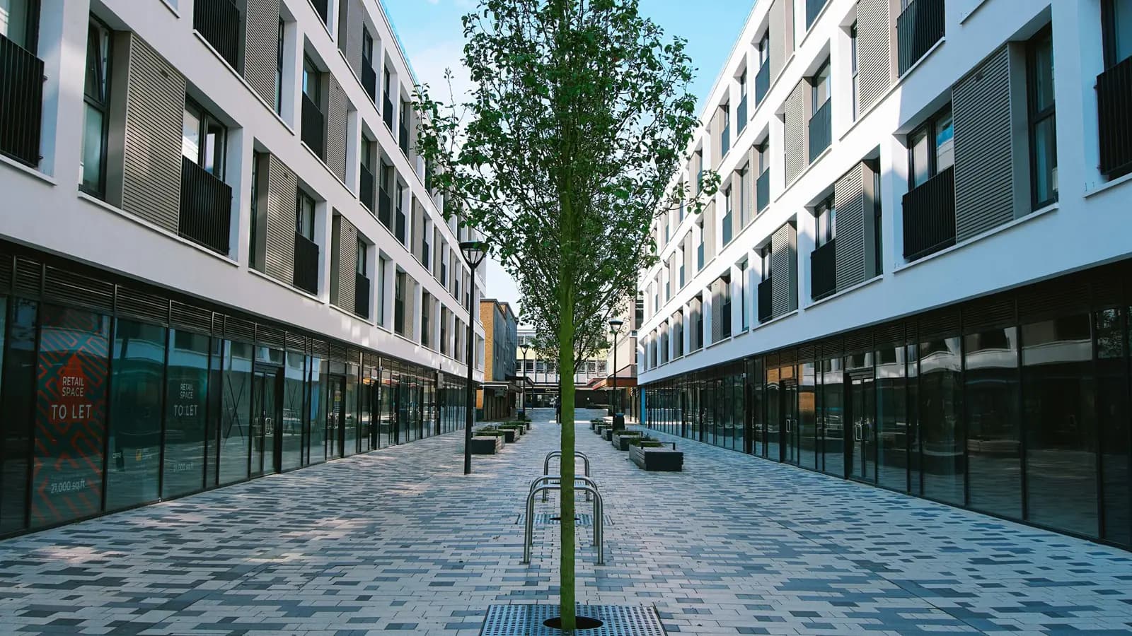 Contemporary street view of modern buildings with tree, UK